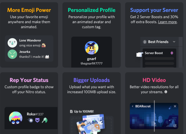 discord business model with additional features