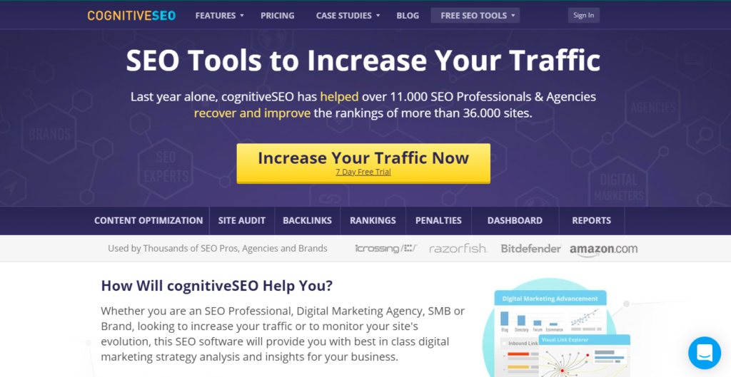 CognitiveSEO Tool