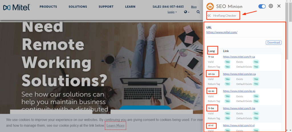 Hreflag Checker - SEO Minion