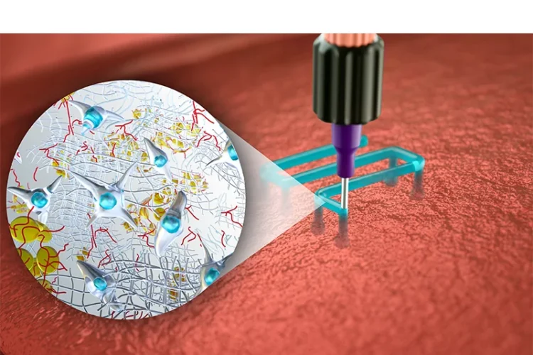 Science Illustrations and Animations: Visualizing Knowledge in the Age of Complexity