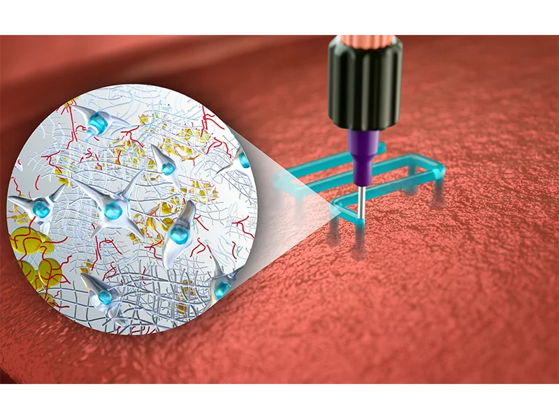 Science Illustrations and Animations: Visualizing Knowledge in the Age of Complexity